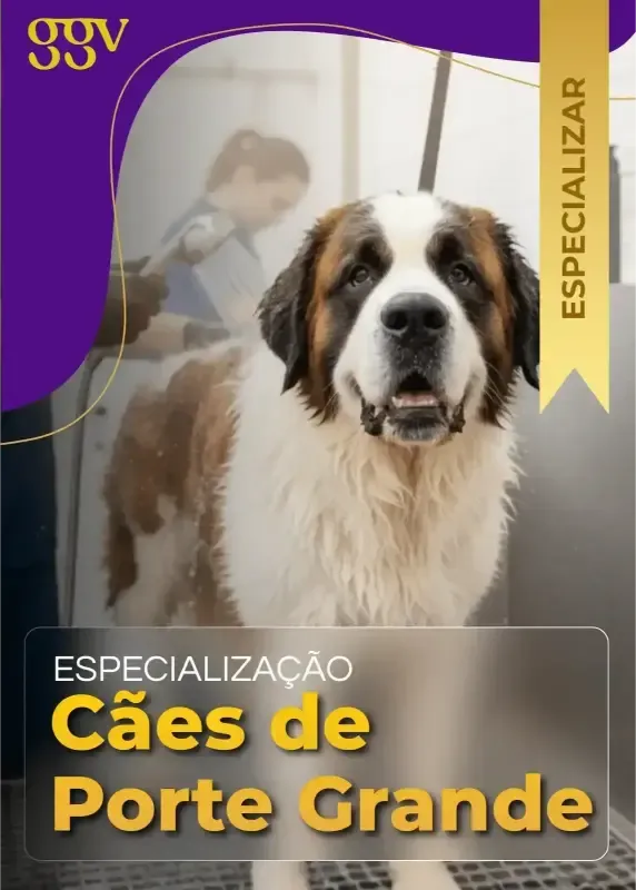Tosa Cocker Spaniel